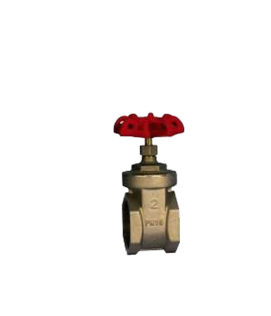APGV200 Brass Gate Valve